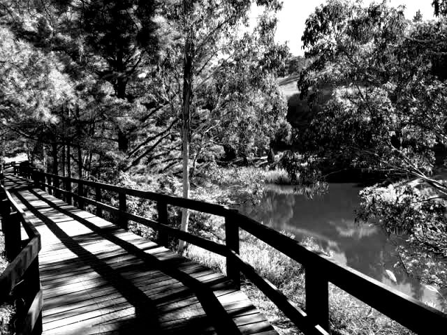 Nearby Walking trail at Botanic Gardens